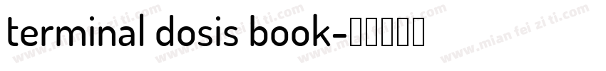 terminal dosis book字体转换